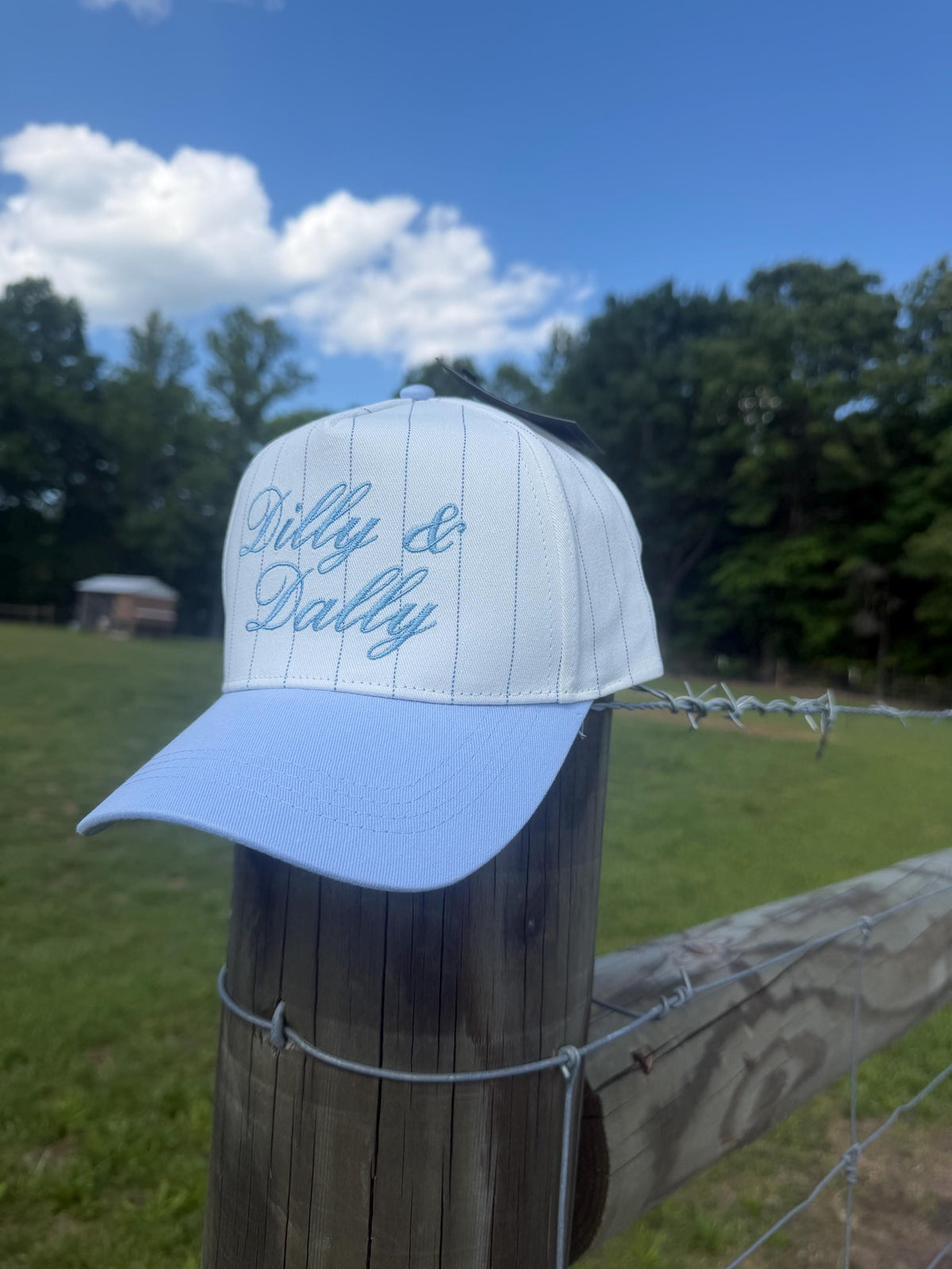 Dilly & Dally Embroidered Pinstripe Cap – Adjustable Blue Script Hat