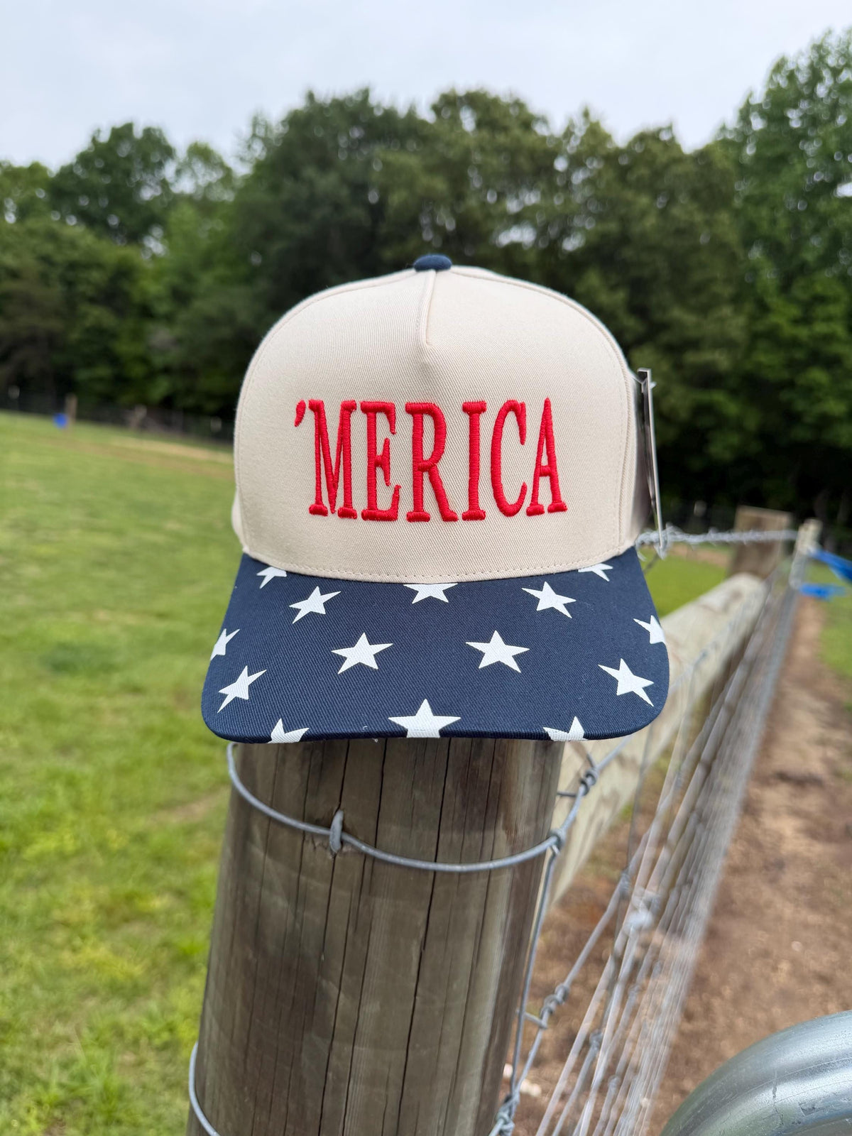 USA Trucker Hat