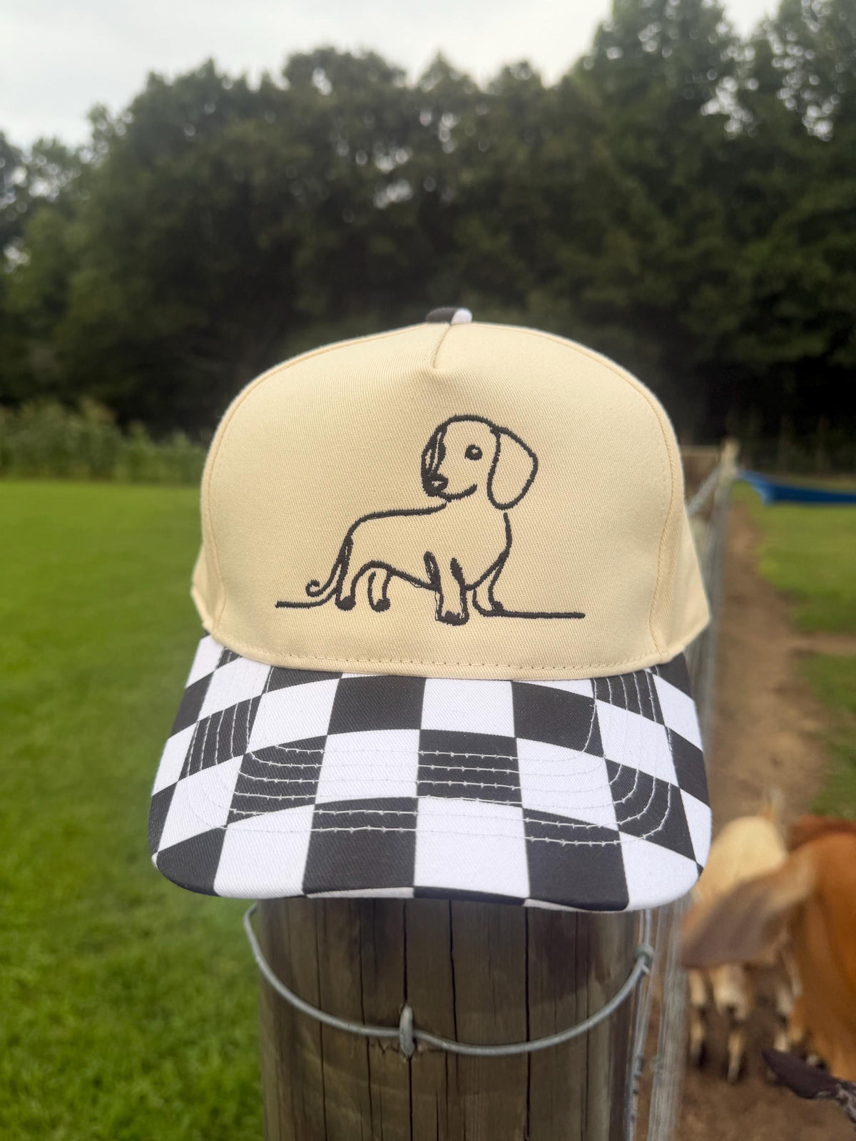 Wiener Dog Hat