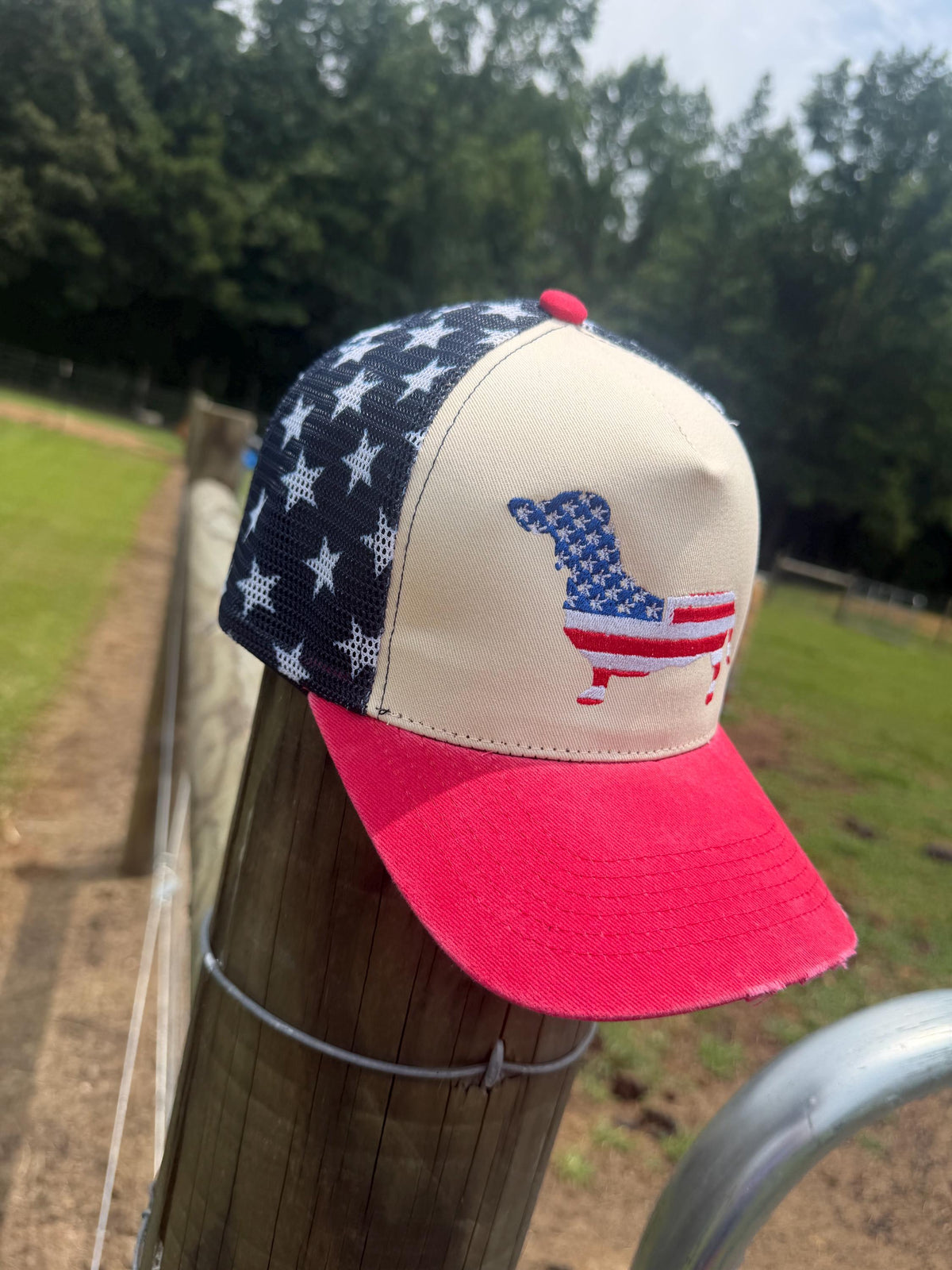 Dachshund Patriotic Hat