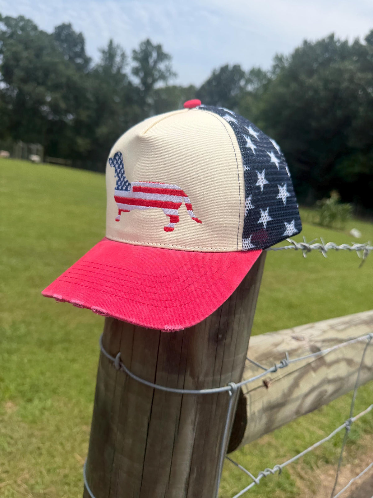 Dachshund Patriotic Hat
