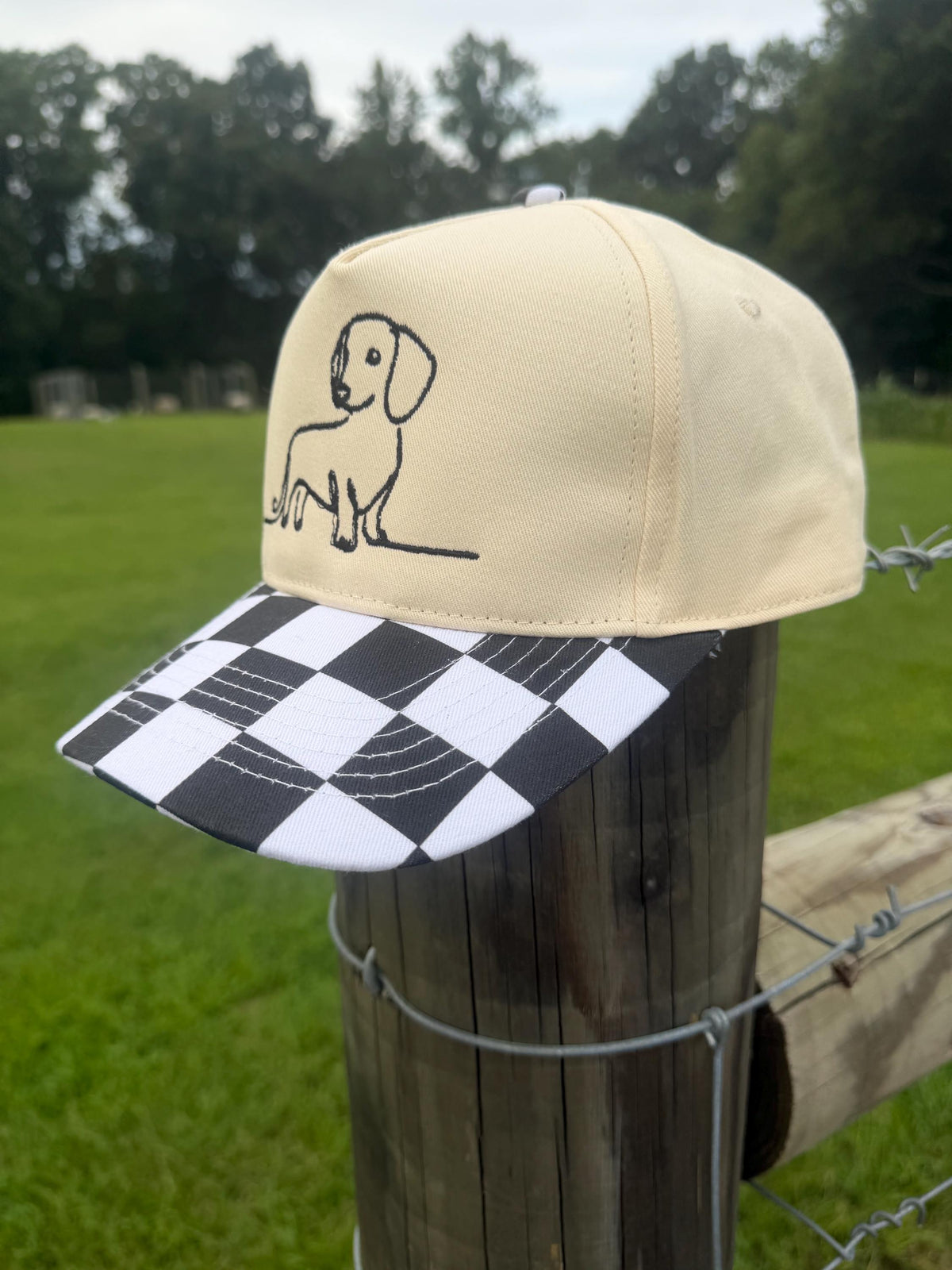 Wiener Dog Hat