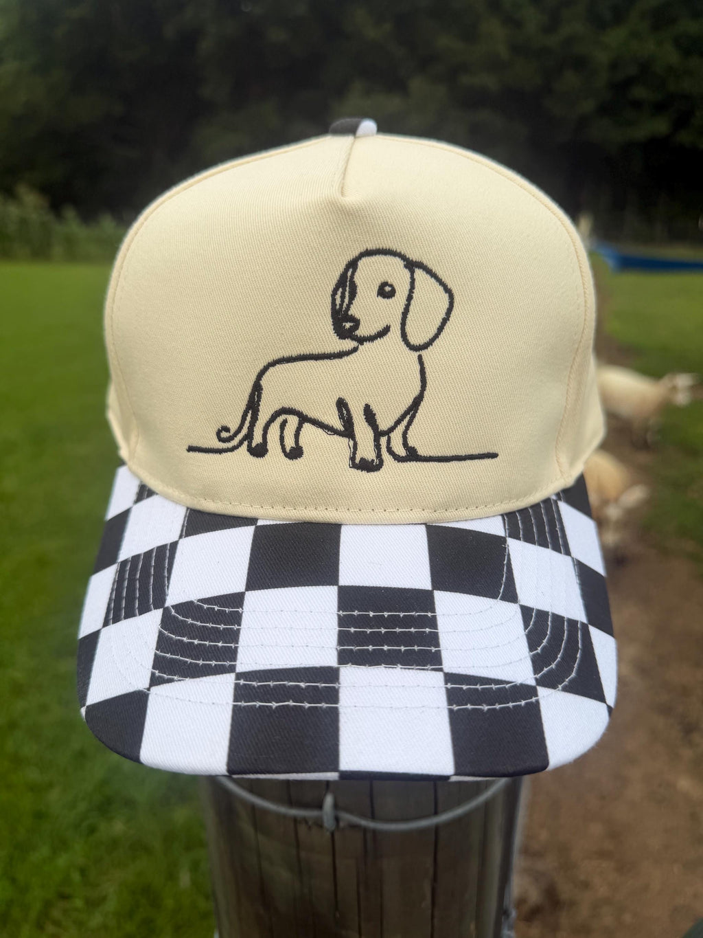 Wiener Dog Hat