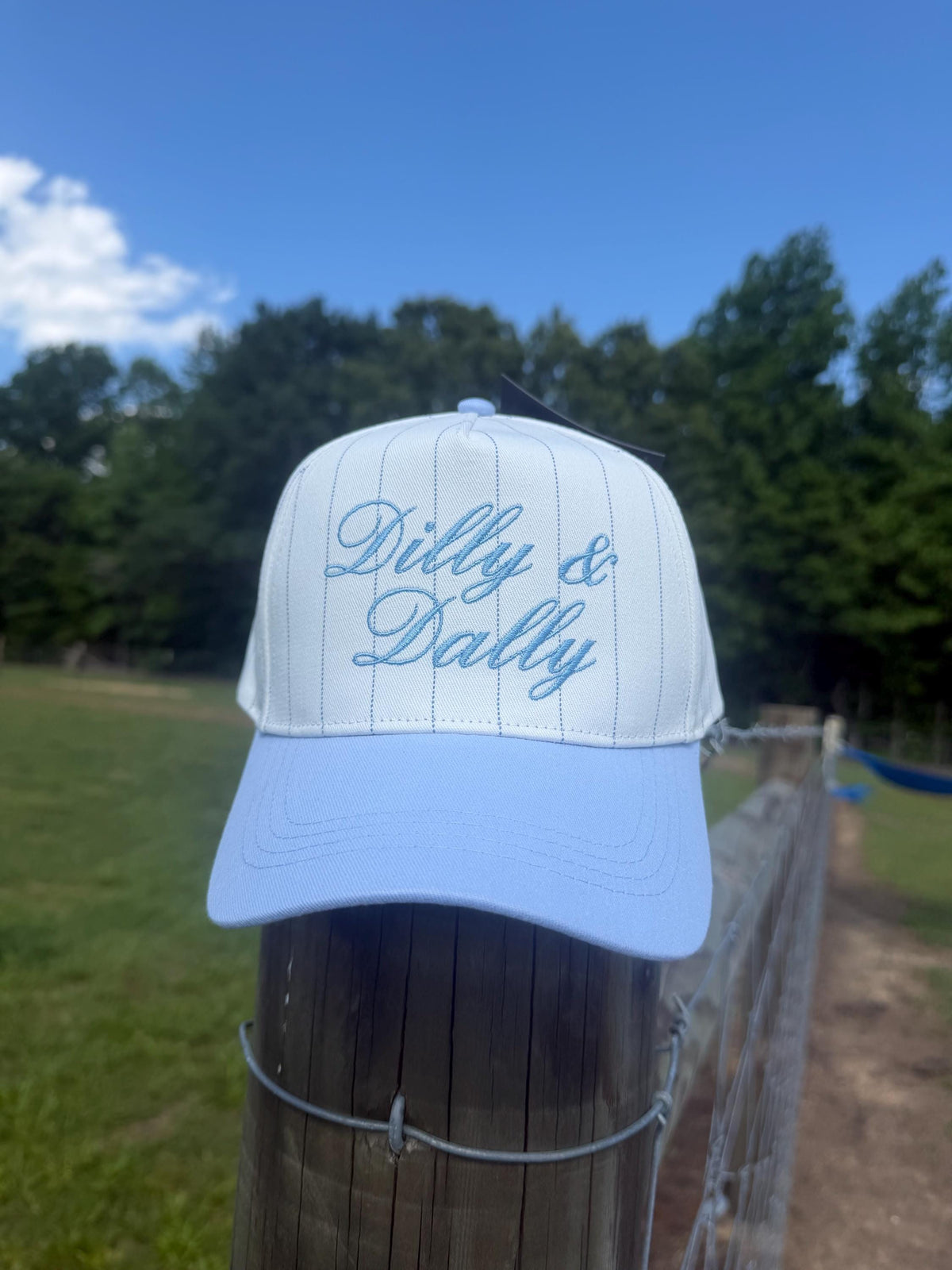 Dilly & Dally Embroidered Pinstripe Cap – Adjustable Blue Script Hat