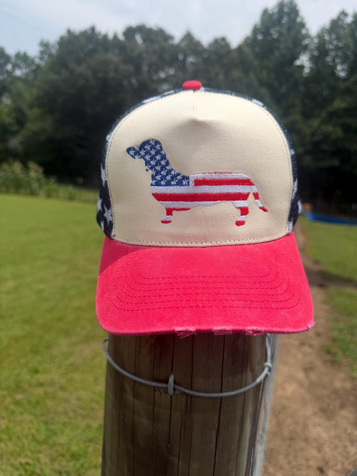 Dachshund Patriotic Hat