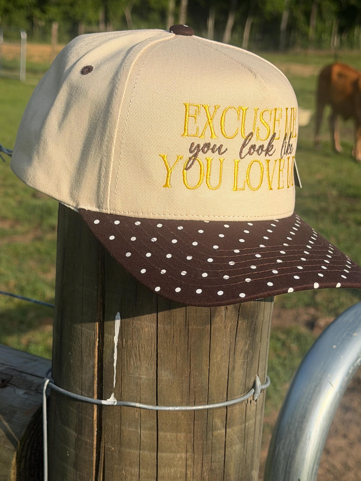 Embroidered Trucker Hat: "Excuse Me, You Look Like Love" Polka Dot Bill